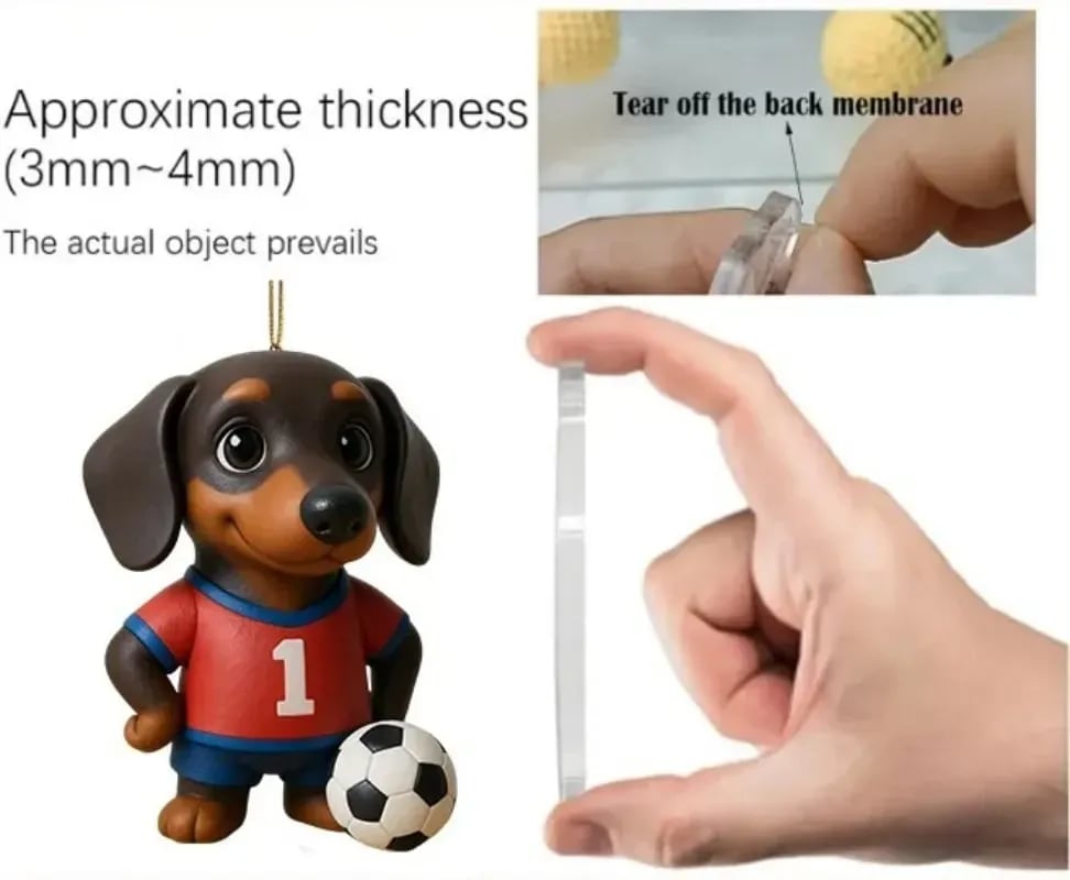 ๐๐พ 2025 Dachshund Advent Calendar ๐ถโจ