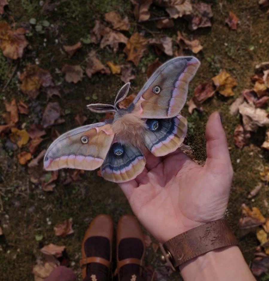Handmade realistic Green Luna Moth hair clip accessory or brooch