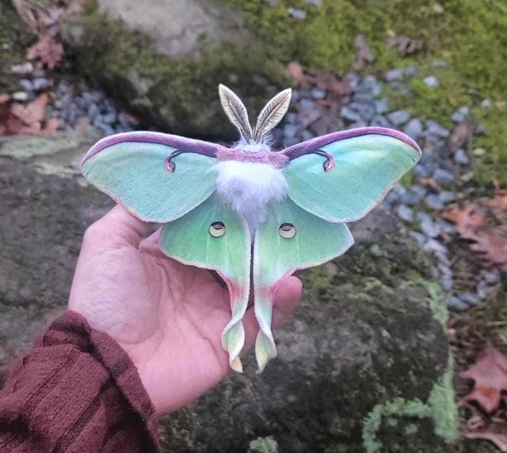 Handmade realistic Green Luna Moth hair clip accessory or brooch