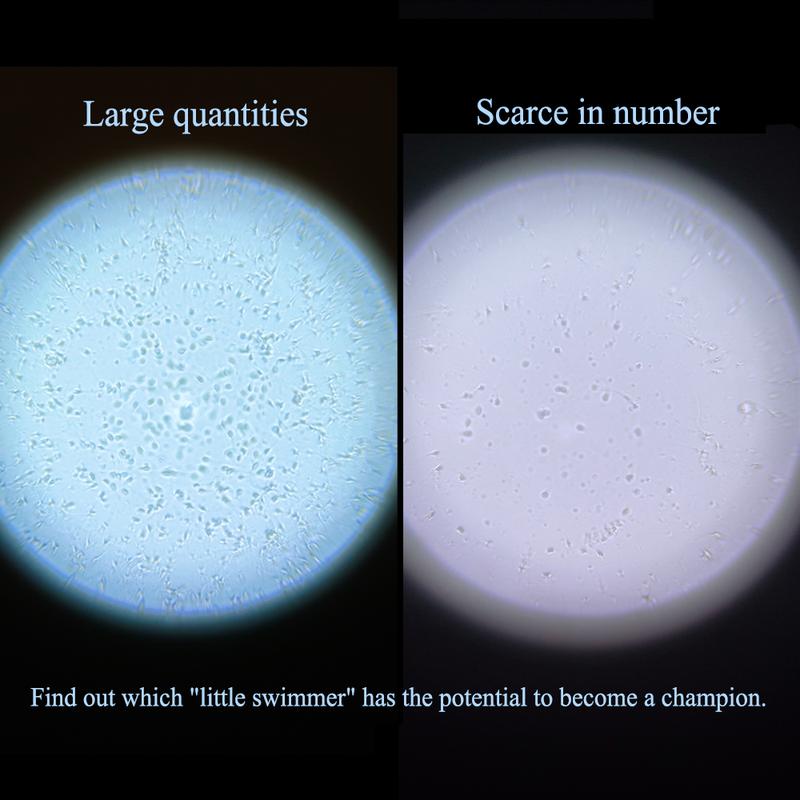 Magnifier Pro: Private, Simple, Reusable Base with Disposable Lens