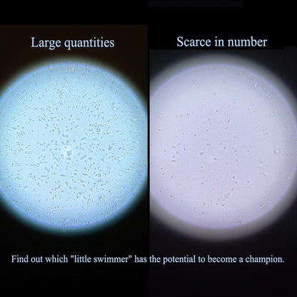 Magnifier Pro: Private, Simple, Reusable Base with Disposable Lens