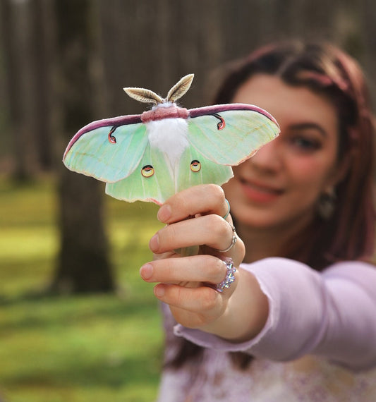 Handmade realistic Green Luna Moth hair clip accessory or brooch