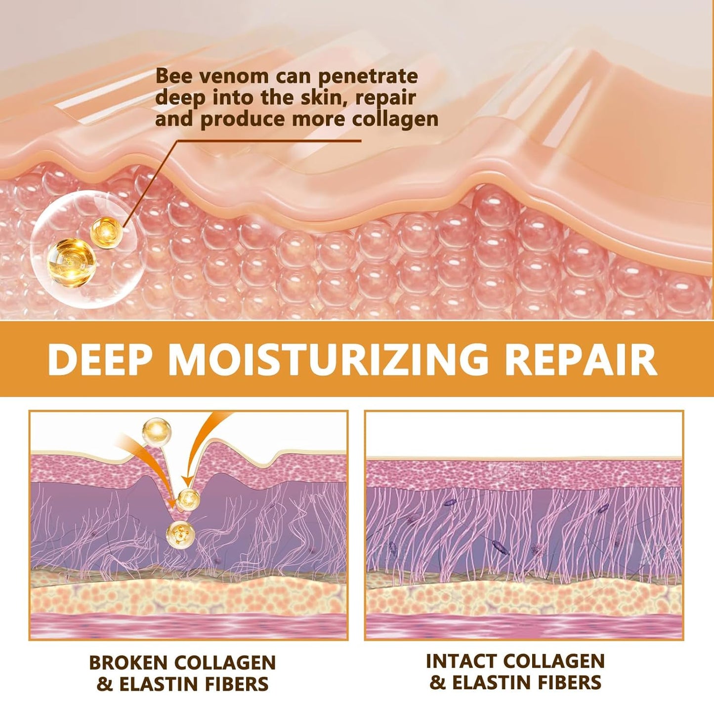 2025 New Instant Botoxin Bee Venom Firming Anti-Aging Wrinkle Removal Cream