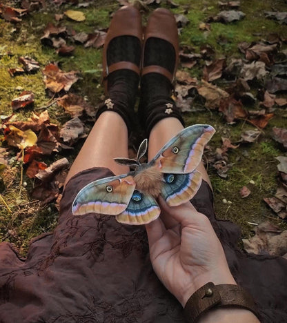 Handmade realistic Green Luna Moth hair clip accessory or brooch
