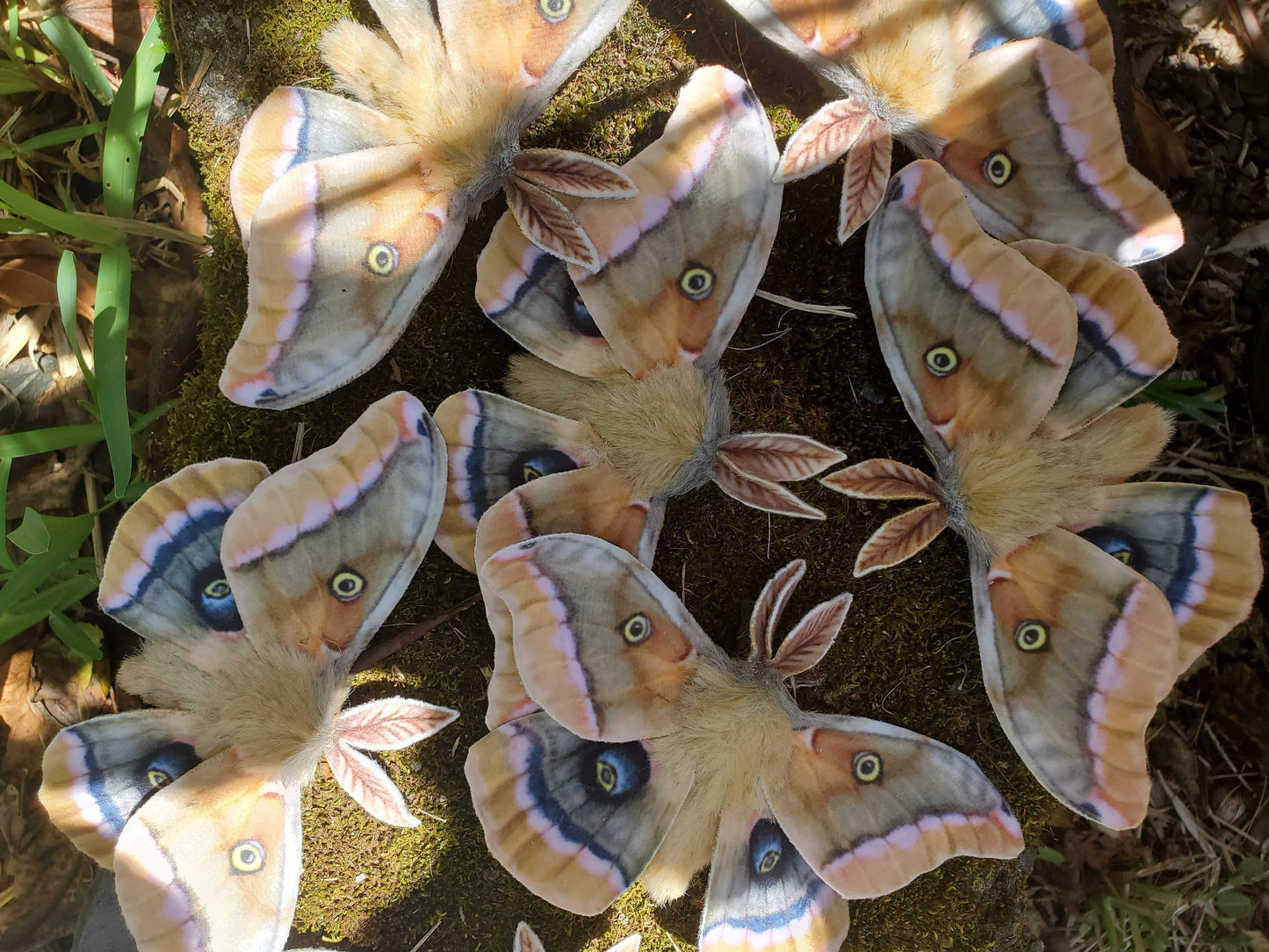 Handmade realistic Green Luna Moth hair clip accessory or brooch